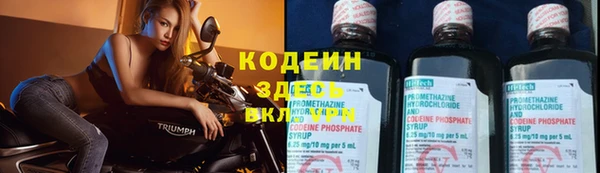 ПСИЛОЦИБИНОВЫЕ ГРИБЫ Надым
