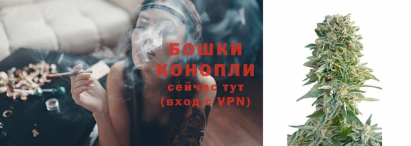 ПСИЛОЦИБИНОВЫЕ ГРИБЫ Надым