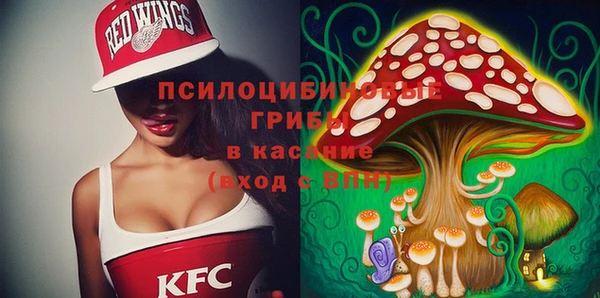 гашик Наволоки