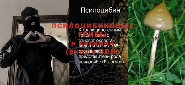 прущая мука Михайлов