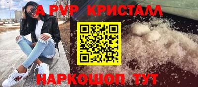 ECSTASY Гагарин