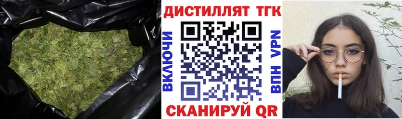 цена наркотик  Новодвинск  мега tor  Дистиллят ТГК жижа 