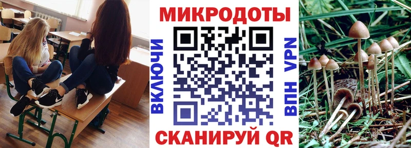 Псилоцибиновые грибы Cubensis  Новодвинск 