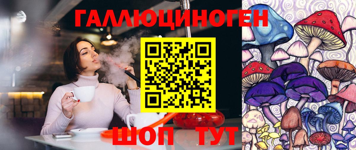 Новодвинск  Псилоцибиновые грибы прущие грибы  Галлюциногенные грибы GOLDEN TEACHER  Вход с VPN 