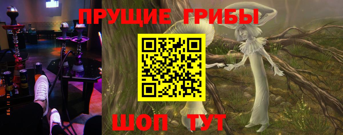 Галлюциногенные грибы Cubensis Новодвинск